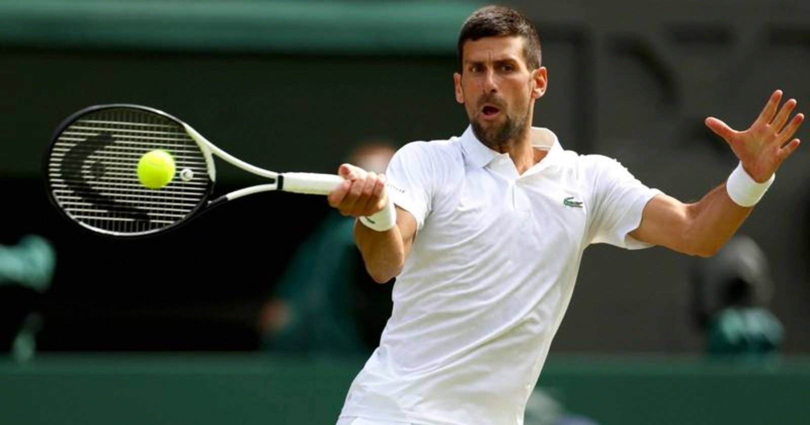 ATP总决赛轻取蒙特卡洛大师赛,德约科维奇高光表现 ATP总决赛轻取蒙特卡洛大师赛,德约科维奇高光表现