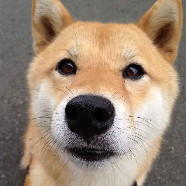 三分线外与禁区之间，当足球遇见篮球的单节决胜美学