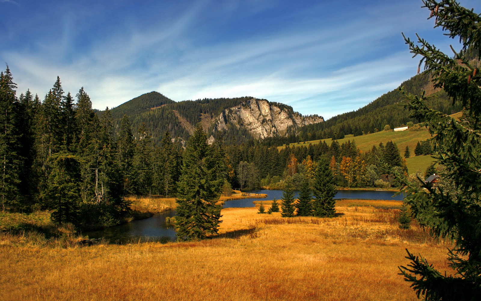 双城记，凯尔特人用战术铁笼带走火箭，布克的刺刀在沉默中淬火