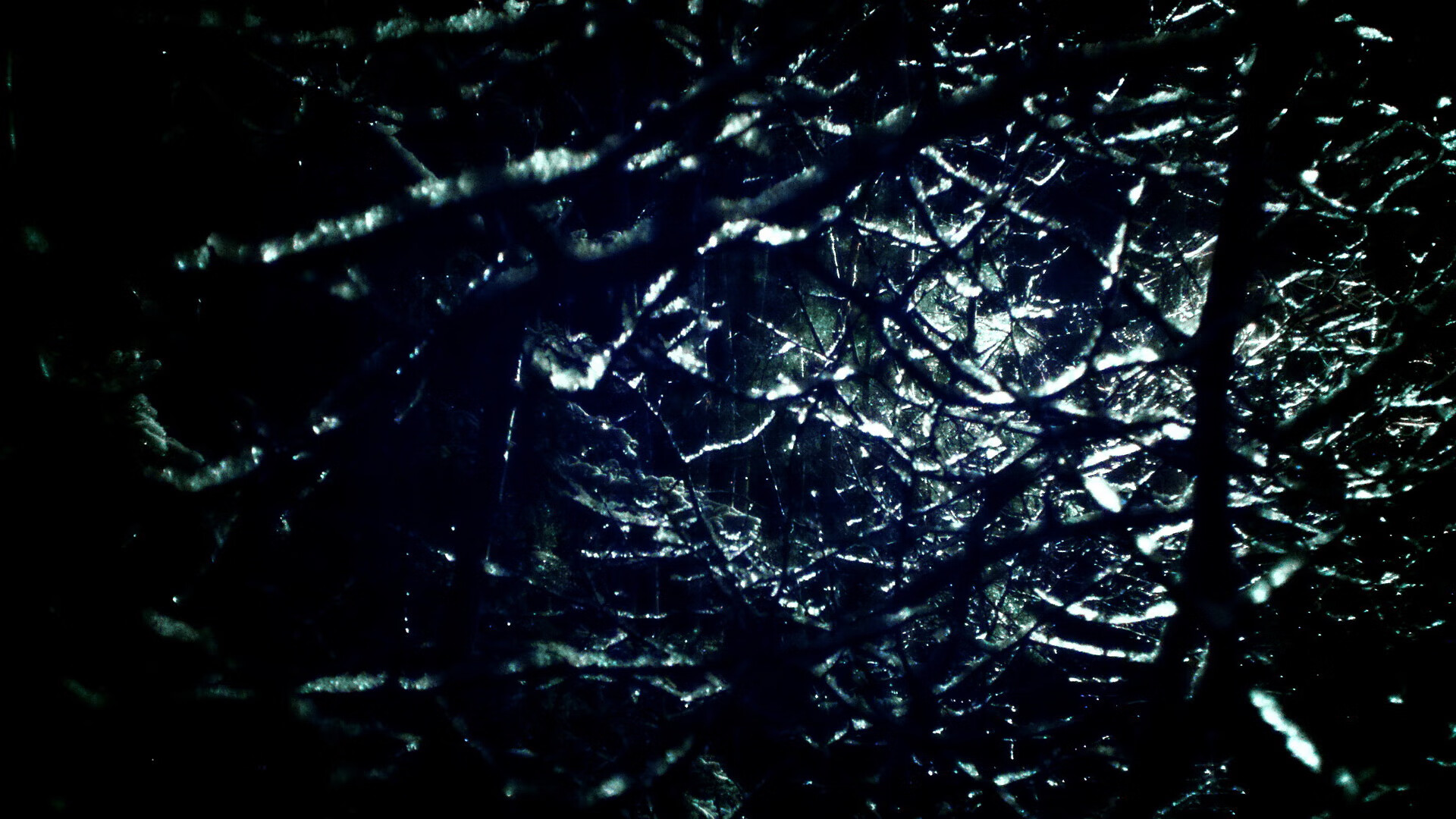 当戈贝尔在CBA数据爆炸,深圳的微型巨人如何撕裂卫冕冠军?