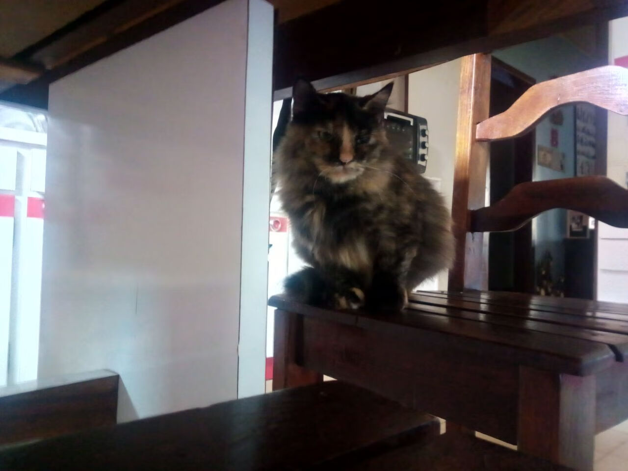 F1年度争冠之夜，门迪教科书级表现铸就传奇