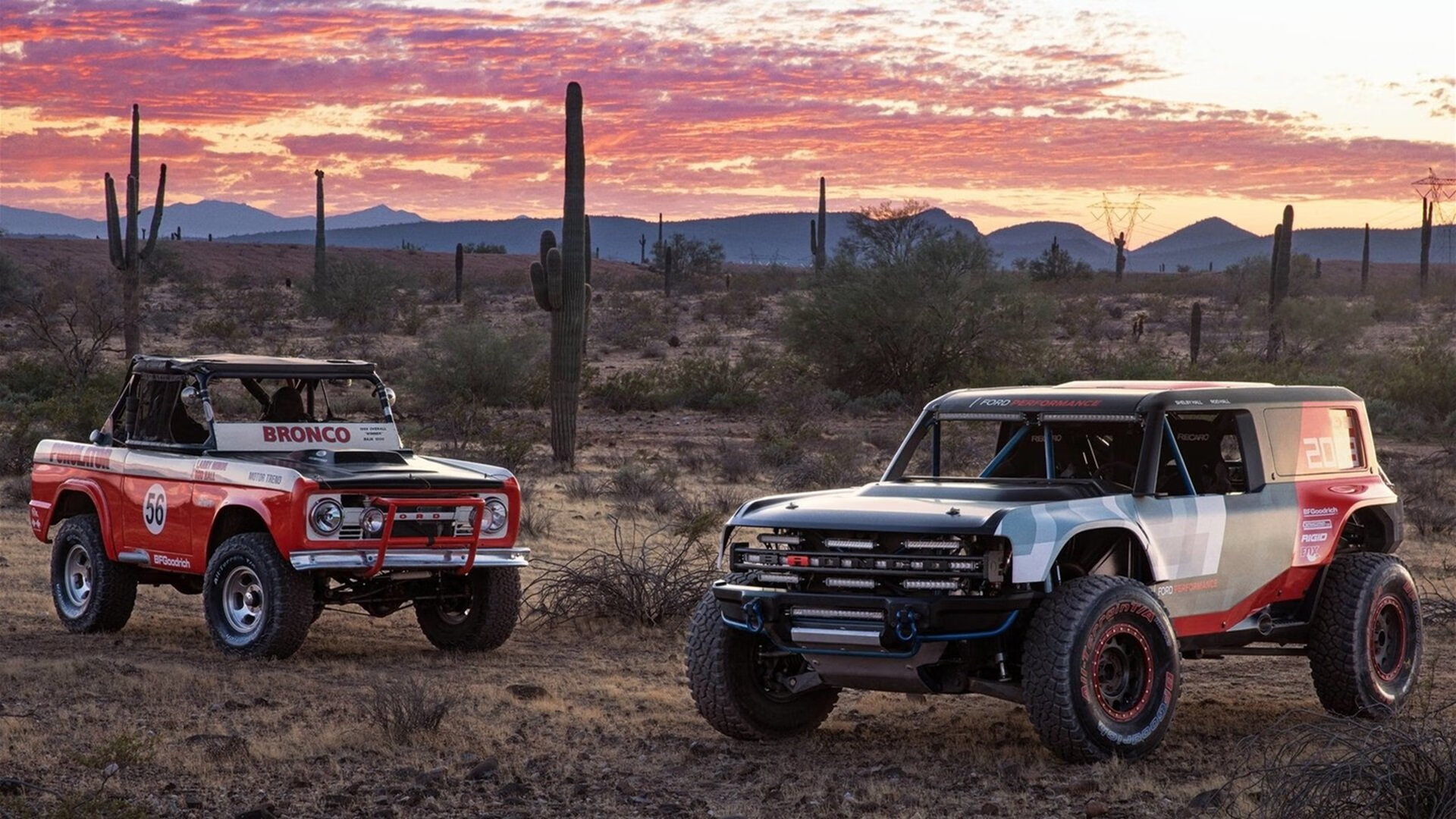 绝响之弧,迪巴拉2026世界杯之夜的永恒坐标