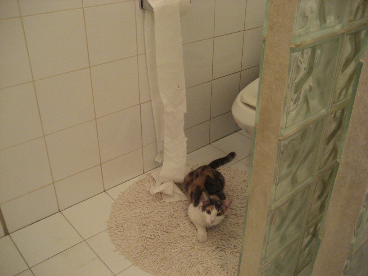 当明尼苏达的狼嚎响彻大运中心,武切维奇绝杀背后的篮球全球化寓言