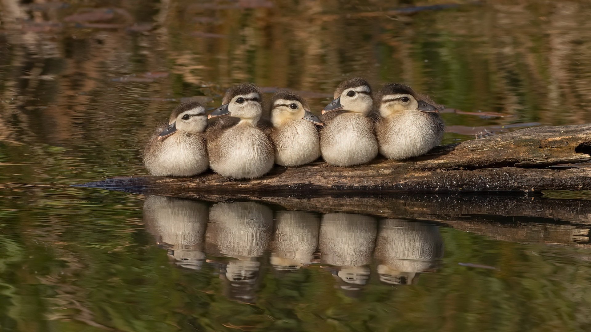 双线叙事,当团队意志遇见个人英雄主义