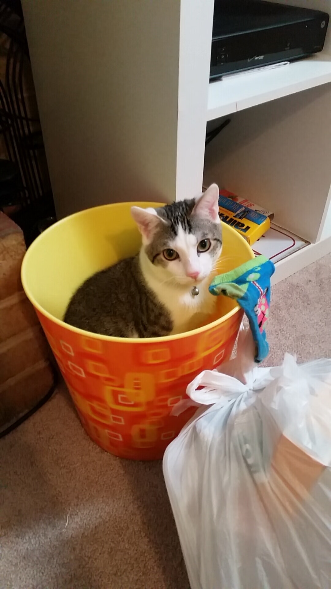 得分如呼吸般稳定，当爱德华兹的不掉线模式击穿新疆钢铁防线