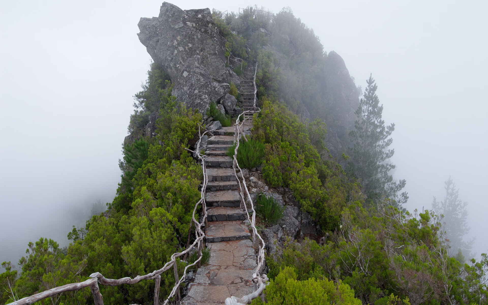 铁骑破苍穹，京多安灵感迸发，尤文立体火力全面压制拉齐奥