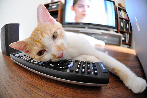 数据之殇，当阿劳霍的爆炸数据成为荷兰击败比利时的唯一注解