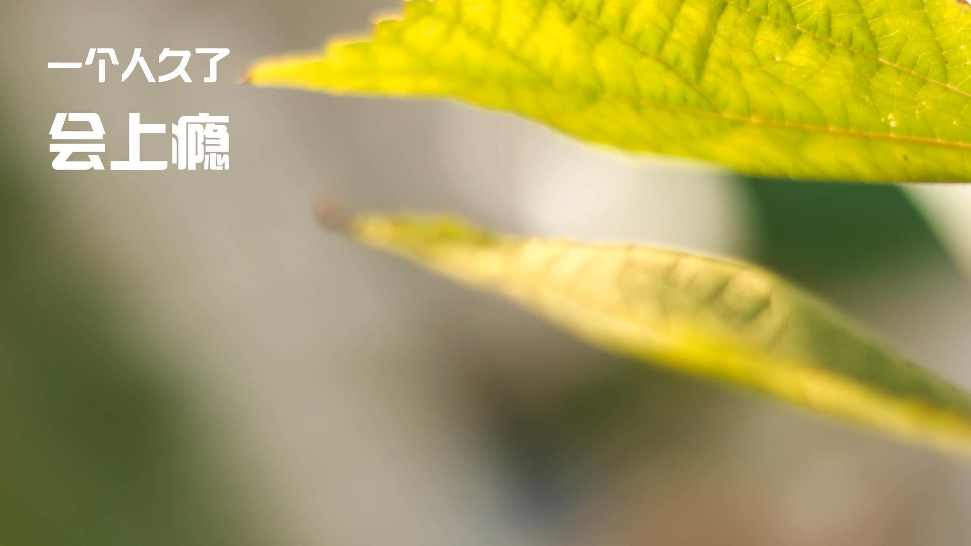 不是对决，森林狼和76人各自走向未知的宿命