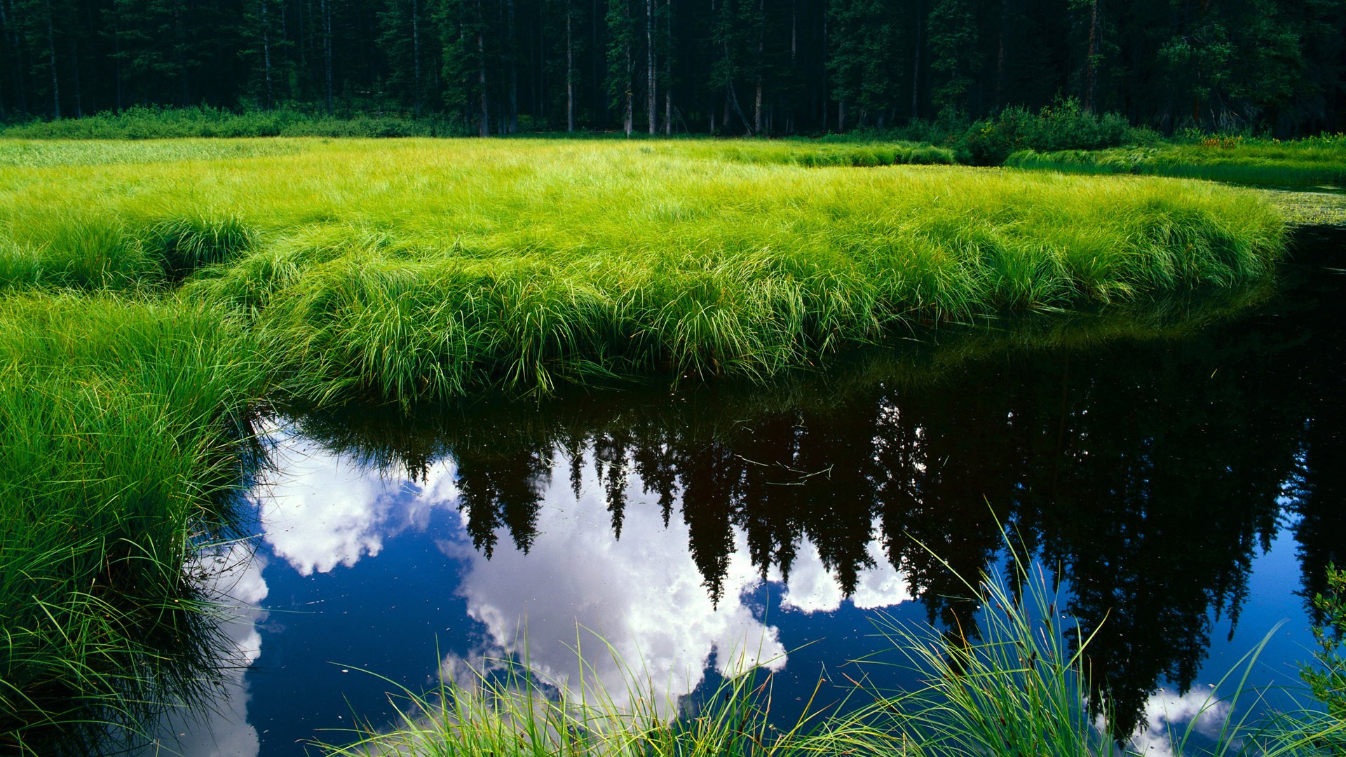 2026世界杯之夜，阿拉巴的冷峻与火焰，关键回合铸就领袖的沉默勋章