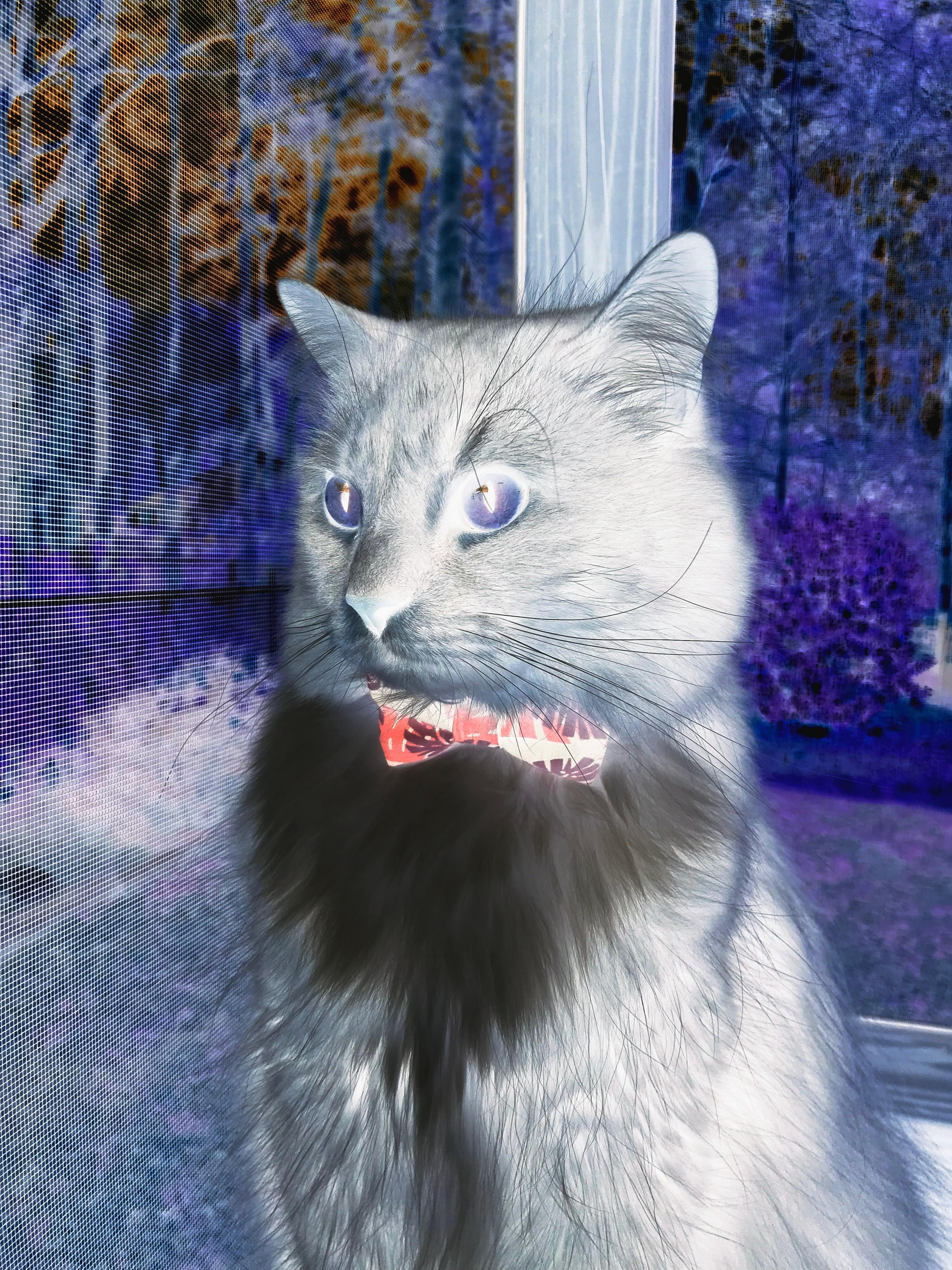 最后1.2秒的救赎，詹姆斯一记短刀刺穿王座，金块掘出加时黄金