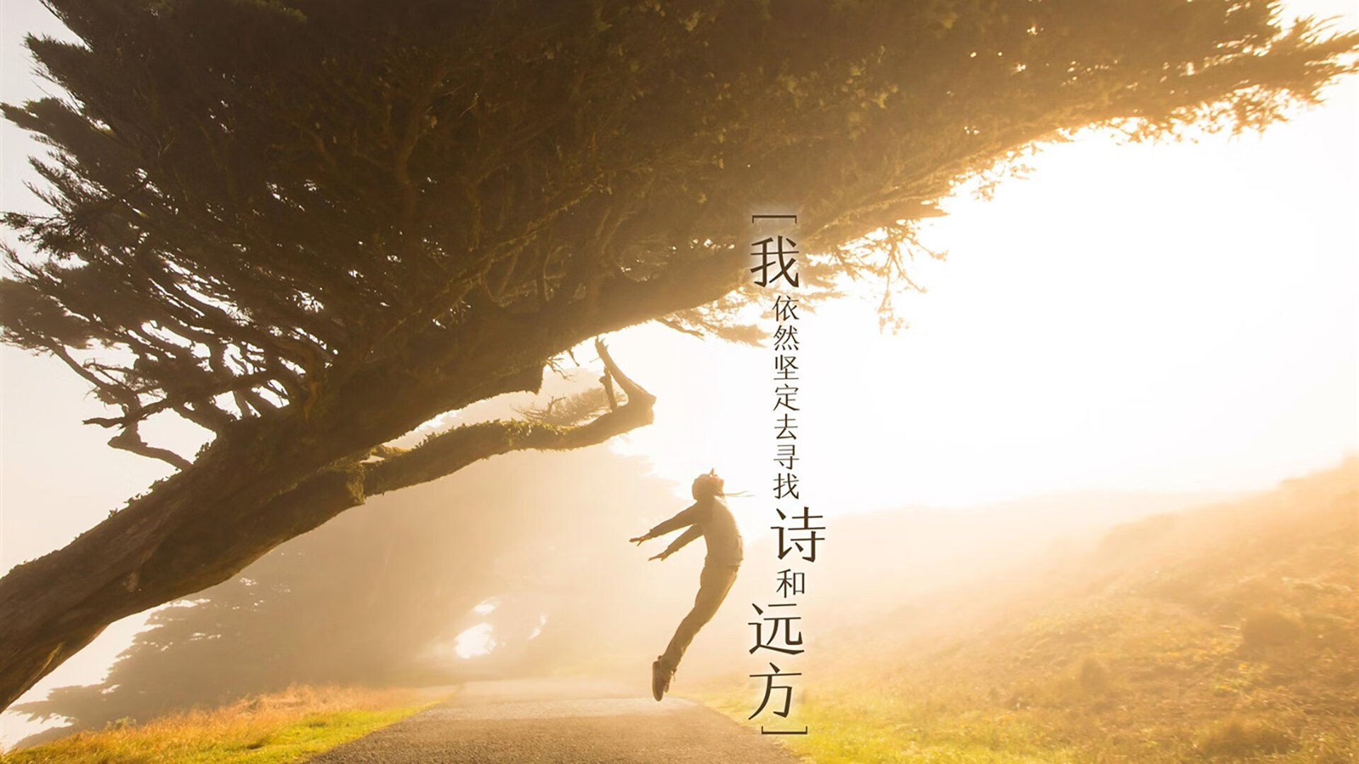 绝境先锋，米切尔撕裂亚特兰大之夜