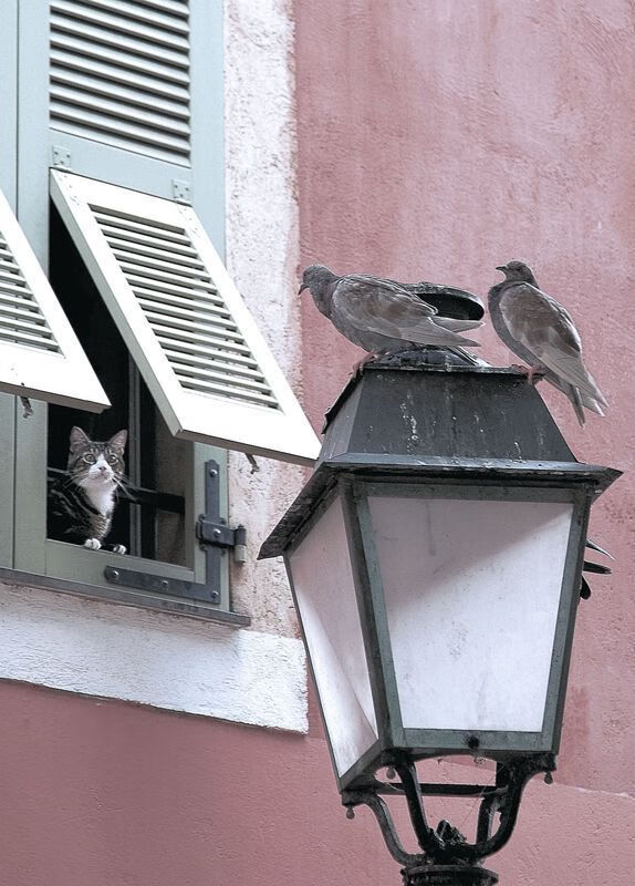 绿茵场上的国家德比与篮球馆里的勇士征服，一场跨体育的焦点战