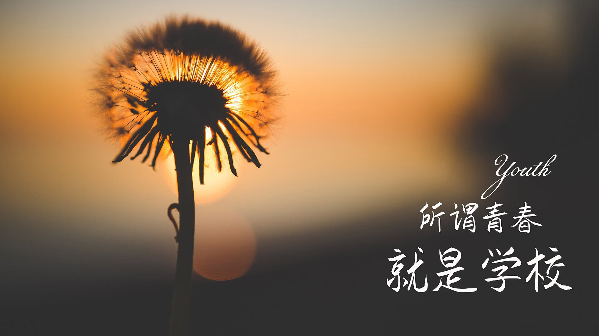 铁幕重现,迪亚斯如何用一张隐形战术图锁死2026世界杯D组葡韩恩怨
