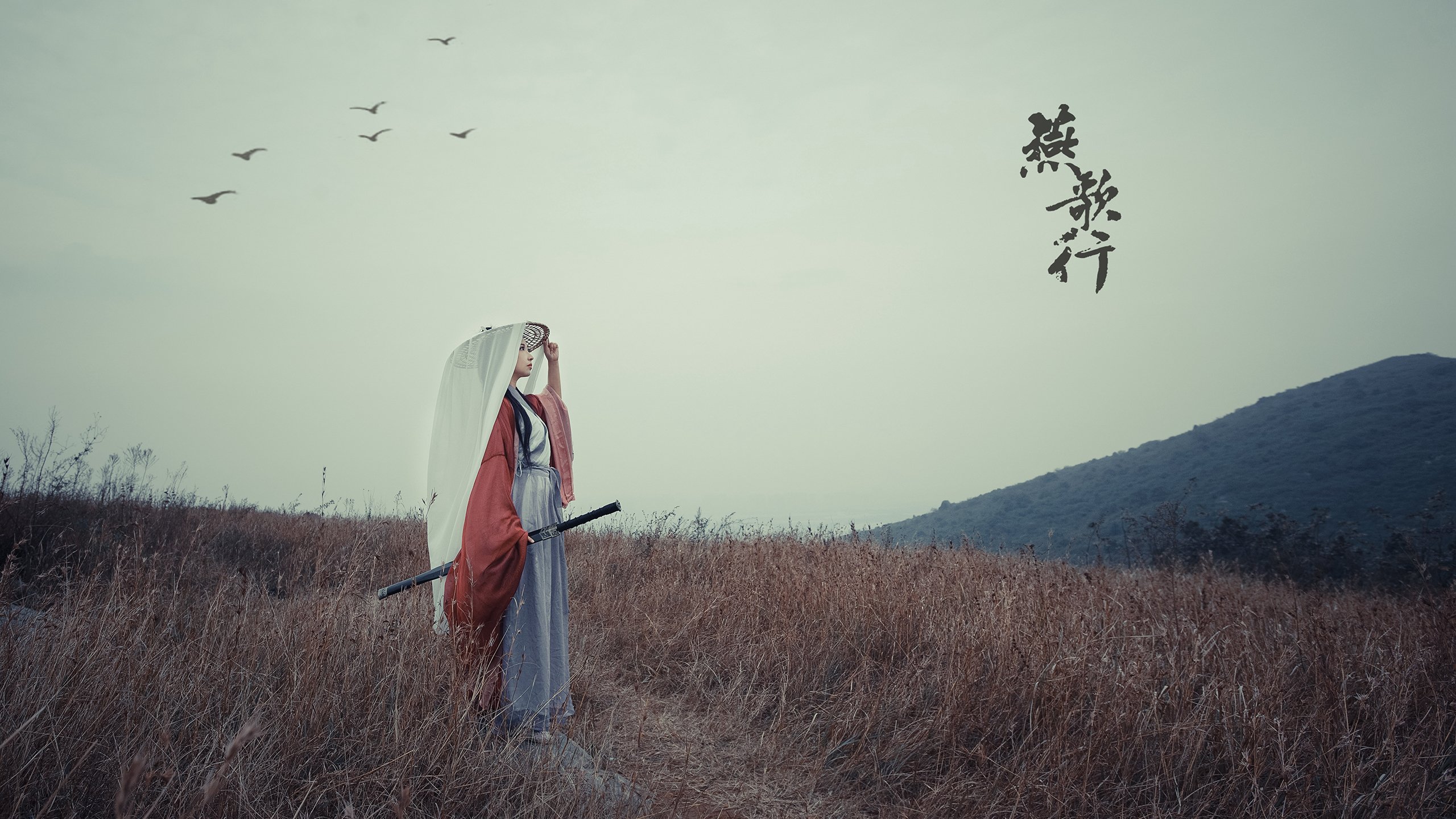 魔咒逆转，天意写就，2026世界杯F组的唯一剧本，卢卡库巧断美洲双雄
