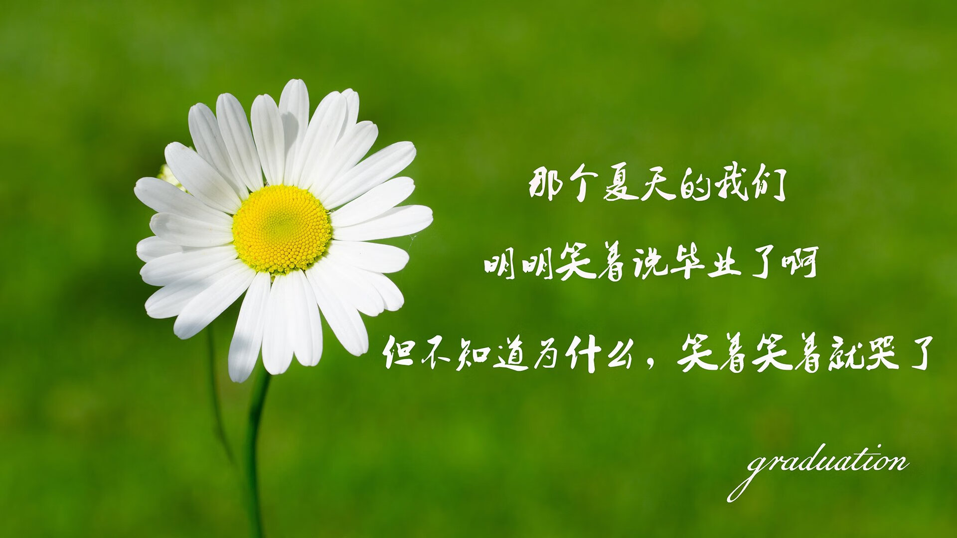 唯一性的完胜，当匈牙利用纪律杀死悬念，塔雷米如何定义F组历史转折点