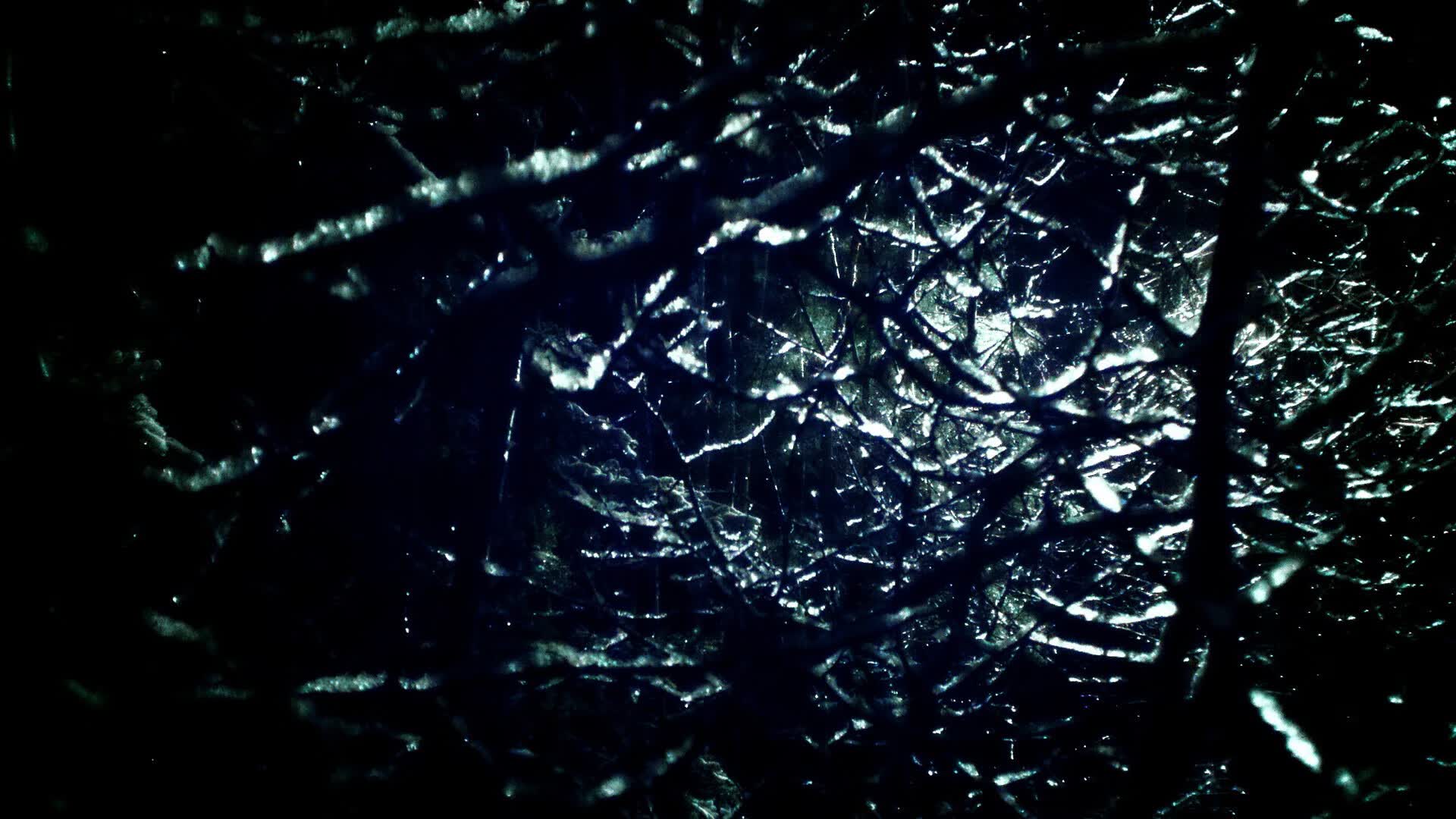 洛桑的雨夜，新王的加冕礼，当蓝衣铁血扼住命运咽喉，福登的舞步为旧时代奏响挽歌